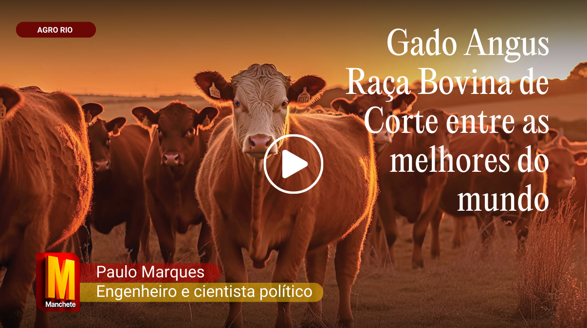 Vídeo