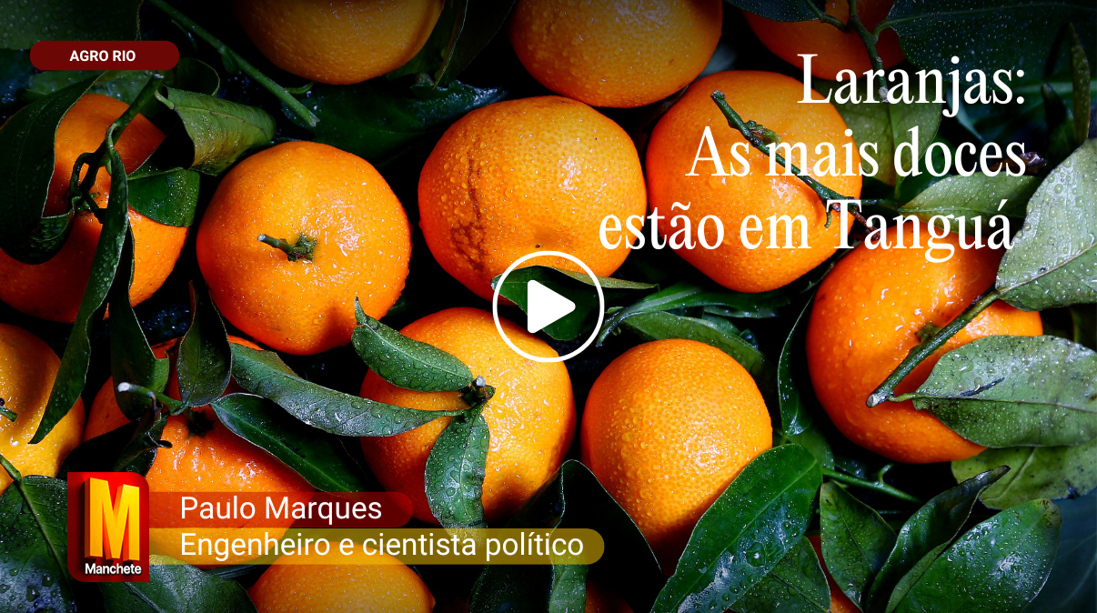 Vídeo