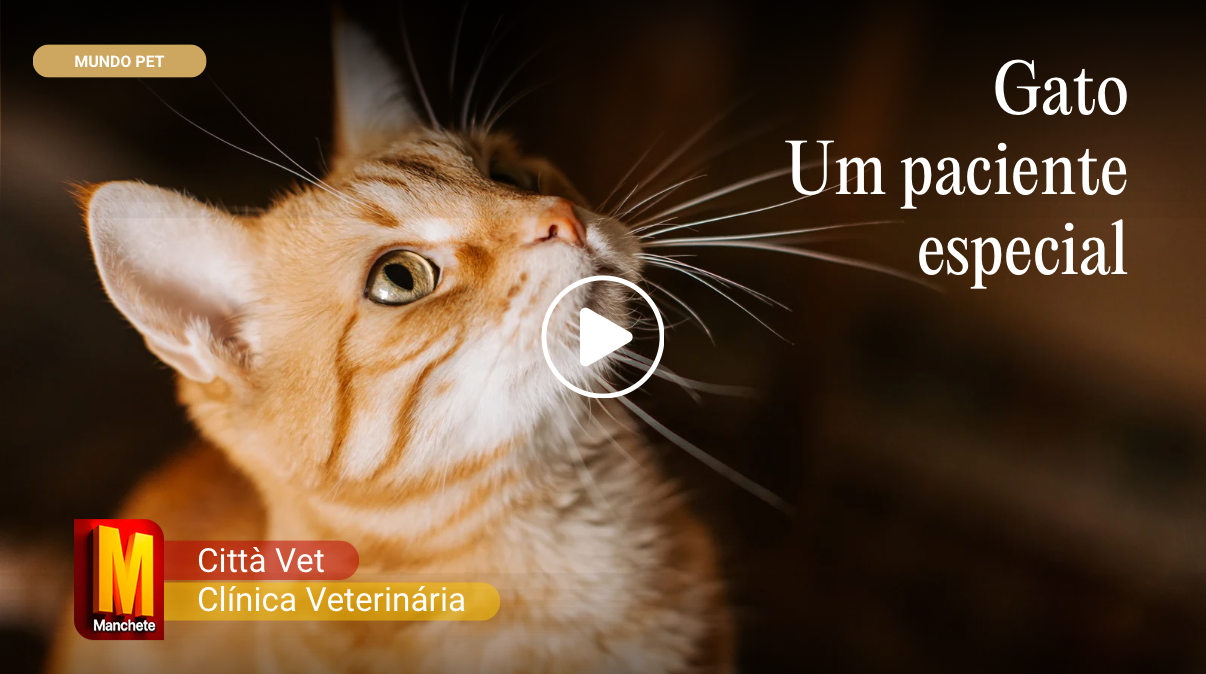 Vídeo