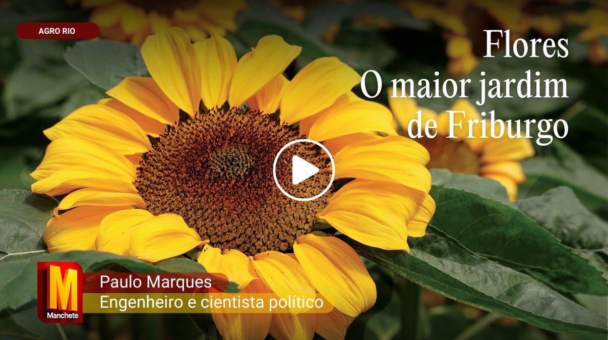 Flores - O maior jardim de Friburgo