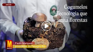 Vídeo